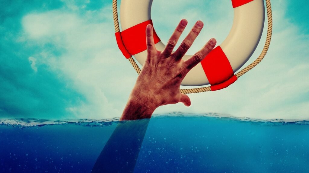 lifebuoy, hand, lake