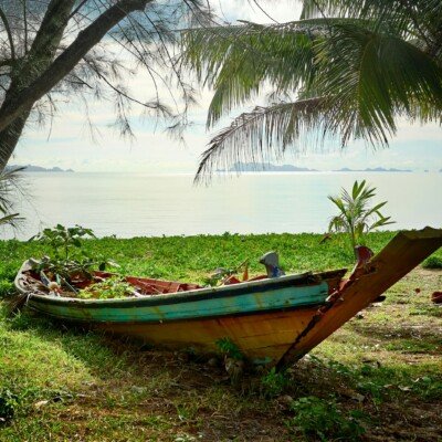 a boat sitting on top of a lush green field