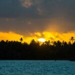 silhouette of trees near body of water during sunset